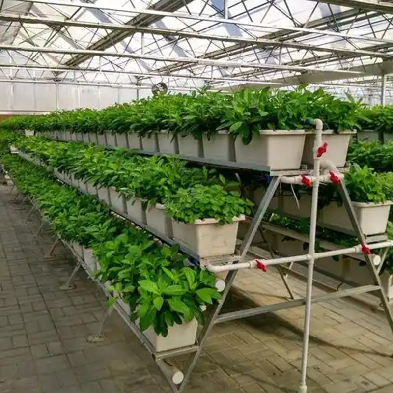 南平市植物工厂无土栽培 - 价格
